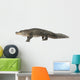 American Alligator 30 Years - Alligator Mississippiensis Wall Decal