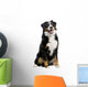 Bernese Mountain Dog Wall Decal