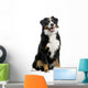 Bernese Mountain Dog Wall Decal