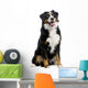 Bernese Mountain Dog Wall Decal