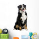 Bernese Mountain Dog Wall Decal
