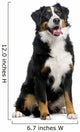 Bernese Mountain Dog Wall Decal