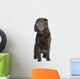 Black Sharpei Dog Wall Decal