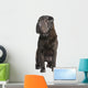 Black Sharpei Dog Wall Decal