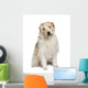 Fluffy Mutt Dog Wall Decal