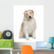 Fluffy Mutt Dog Wall Decal