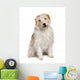 Fluffy Mutt Dog Wall Decal