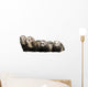 Four Pets Ferret Wall Decal