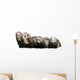 Four Pets Ferret Wall Decal