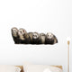 Four Pets Ferret Wall Decal