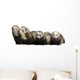 Four Pets Ferret Wall Decal