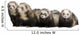 Four Pets Ferret Wall Decal