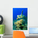Hawksbill Turtle Wall Mural