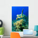 Hawksbill Turtle Wall Mural