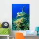 Hawksbill Turtle Wall Mural