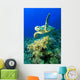 Hawksbill Turtle Wall Mural