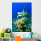 Hawksbill Turtle Wall Mural