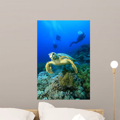 Hawksbill Turtle and Scuba Wall Mural shown on a wall