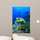 Hawksbill Turtle and Scuba Wall Mural