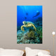 Hawksbill Turtle and Scuba Wall Mural