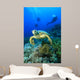 Hawksbill Turtle and Scuba Wall Mural