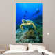 Hawksbill Turtle and Scuba Wall Mural
