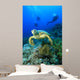 Hawksbill Turtle and Scuba Wall Mural