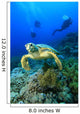 Hawksbill Turtle and Scuba Wall Mural