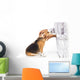 Veterinarian examining beagle dog Wall Decal