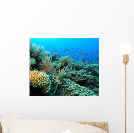 Indo Pacific Coral Reef Wall Decal