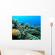 Indo Pacific Coral Reef Wall Decal