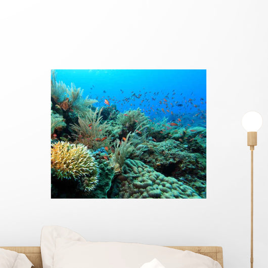 Indo Pacific Coral Reef Wall Decal