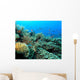Indo Pacific Coral Reef Wall Decal