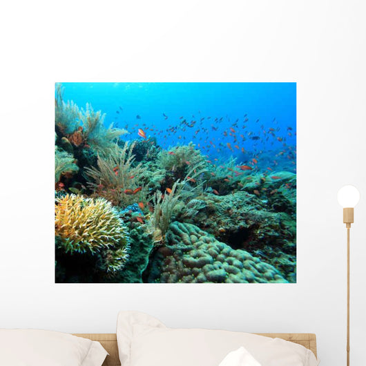 Indo Pacific Coral Reef Wall Decal