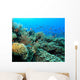 Indo Pacific Coral Reef Wall Decal