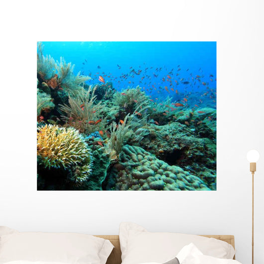 Indo Pacific Coral Reef Wall Decal