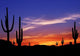 Colorful Sunset Wild West Wall Decal