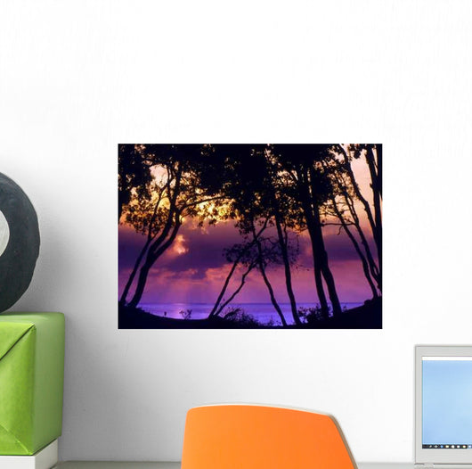 Moriani Plage Wall Decal