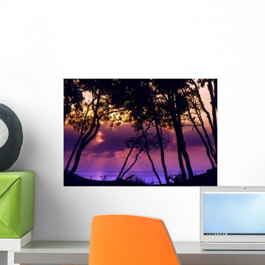 Moriani Plage Wall Decal