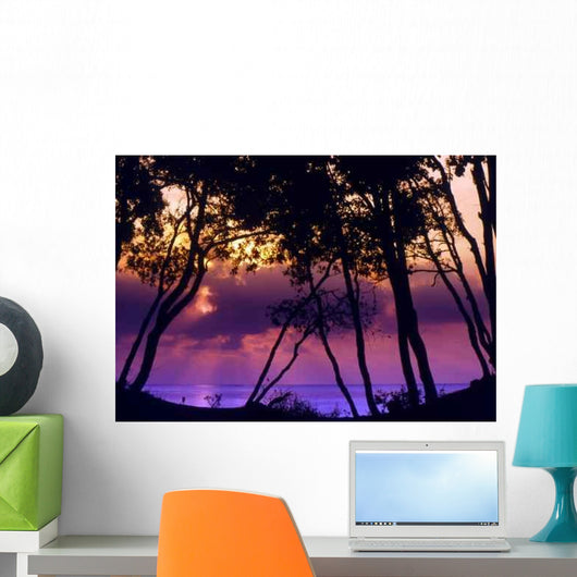 Moriani Plage Wall Decal
