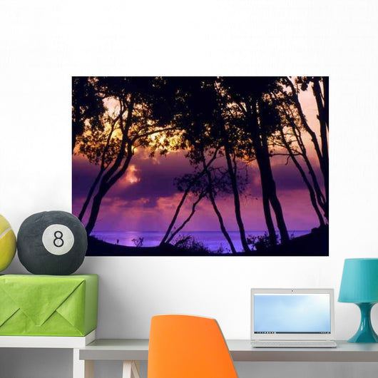 Moriani Plage Wall Decal