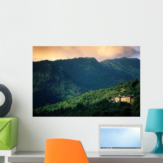 Velone Wall Decal