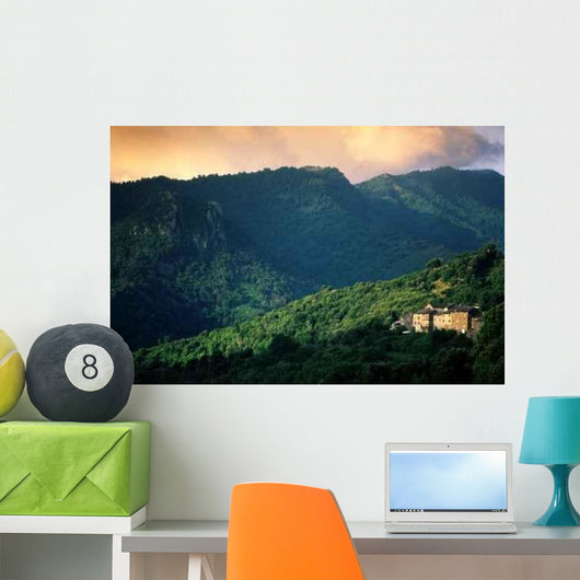 Velone Wall Decal
