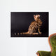 Bengal cat on a black background  Wall Mural
