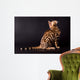 Bengal cat on a black background  Wall Mural