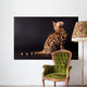 Bengal cat on a black background  Wall Mural