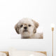 Shih Tzu Puppy Wall Decal
