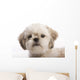 Shih Tzu Puppy Wall Decal
