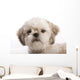 Shih Tzu Puppy Wall Decal