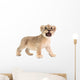 baby lion isolated on white background Wall Decal